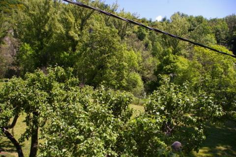 El Refugio De Valporquero Villa Vegacervera Eksteriør billede